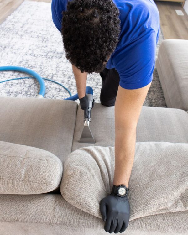 sofa cleaning services